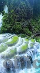 麻豆果冻传媒在线-『触碰感官，麻豆果冻传媒在线的视觉盛宴与情感共鸣』